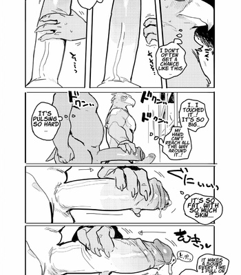 Pelican and White-tailed Eagle comic porn sex 7