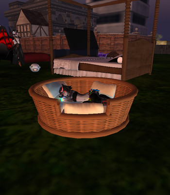 A cute little kitty comic porn sex 17