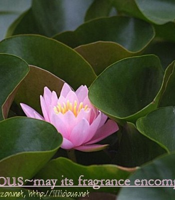 About a girl comic porn sex 15