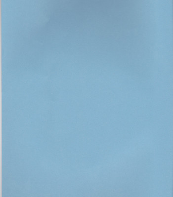 (C65) [Tax inn (Kisu Yoshimitsu)] FALLEN (Bleach) [English] comic porn sex 2