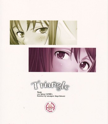 (comic1☆7)  triangle comic porn sex 28
