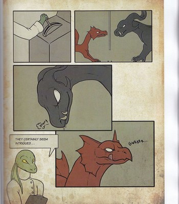 Dragons hoard Volume 3 comic porn sex 41