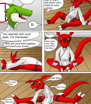 Guilmon Training Karate (Pratica Karate) comic porn sex 7