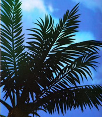 Love Kachuu | Lover’s Time [COMPLETE] comic porn sex 3