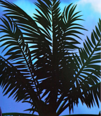 Love Kachuu | Lover’s Time [COMPLETE] comic porn sex 4