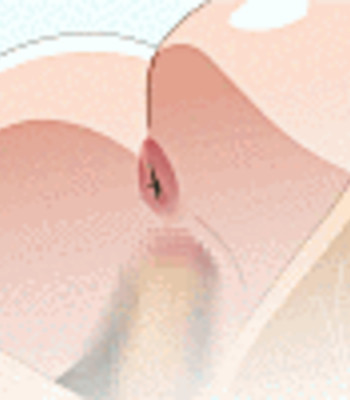 Oppai Anime ☆ comic porn sex 26