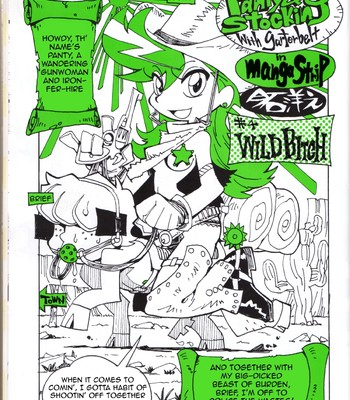 Panty and stocking in wild bitch comic porn sex 1