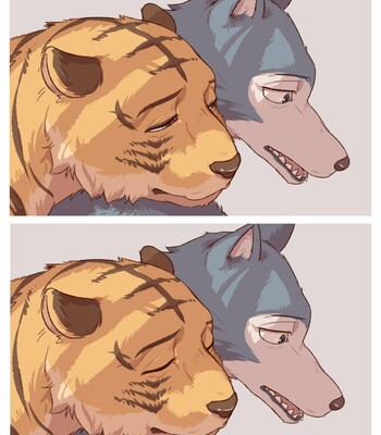 [Sadness Hao] Legoshi & Bill – BEASTARS dj [Eng] comic porn sex 16