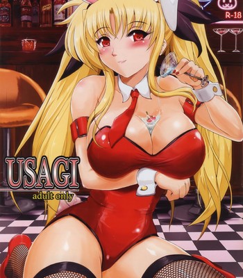 [Shouchuu MAC (Hozumi Kenji)] USAGI (Mahou Shoujo Lyrical Nanoha) [English] [Tigoris Translates] comic porn sex 1