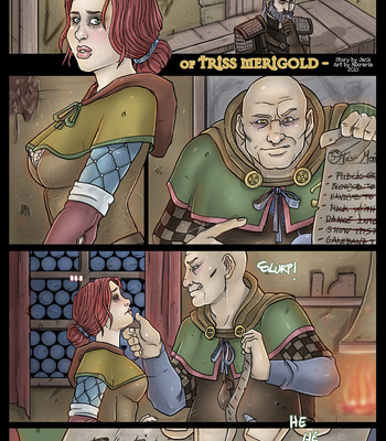 The Sexy Adventures of Triss Merigold comic porn sex 2