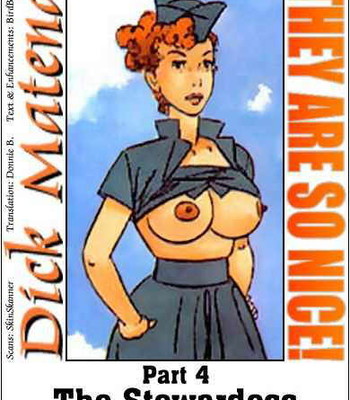 The Stewardress comic porn sex 2