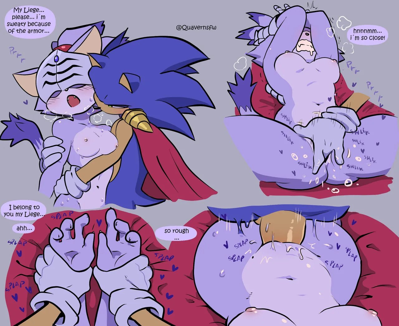 Sonic the hedgehog blaze the cat