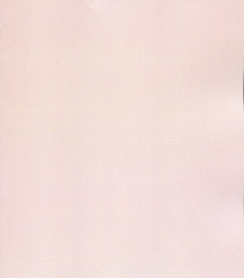 Pink Prisoner comic porn sex 26