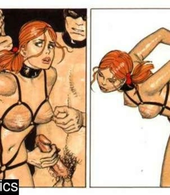 Sophie’s Curious Perversions comic porn sex 113