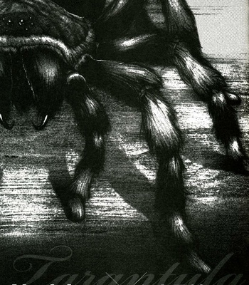 Tarantula comic porn sex 2