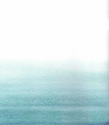 Fluttering White Hydrangea comic porn sex 15