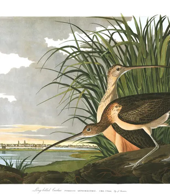 Agent Ada comic porn thumbnail 001