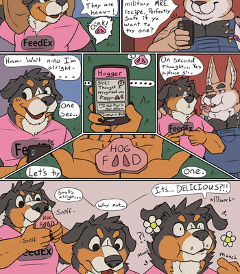 FeedEx comic porn sex 3