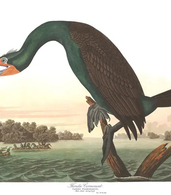 Agent Ada comic porn sex 22