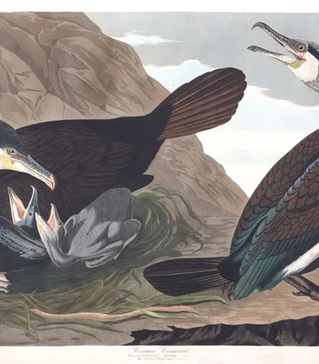 Agent Ada comic porn sex 36