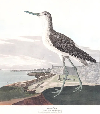 Agent Ada comic porn sex 39