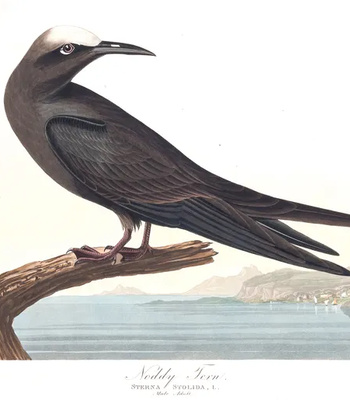 Agent Ada comic porn sex 45