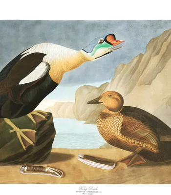 Agent Ada comic porn sex 46