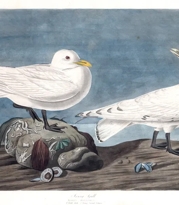 Agent Ada comic porn sex 57