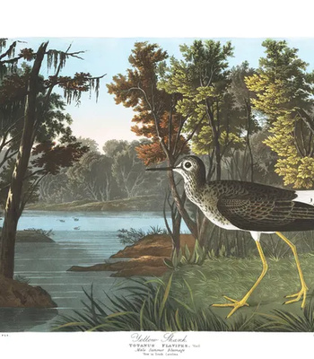 Agent Ada comic porn sex 58