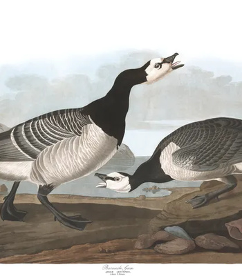 Agent Ada comic porn sex 66