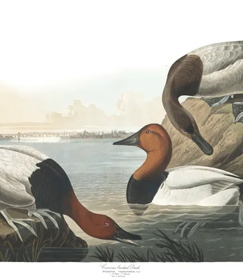 Agent Ada comic porn sex 71