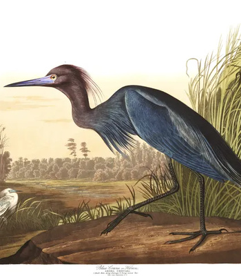 Agent Ada comic porn sex 78