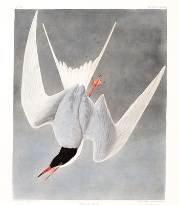 Agent Ada comic porn sex 80