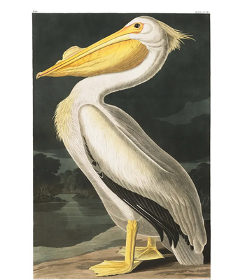 Agent Ada comic porn sex 82