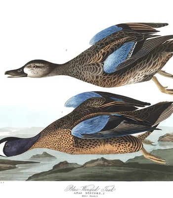 Agent Ada comic porn sex 84