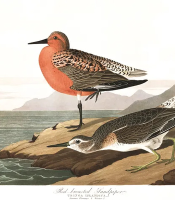 Agent Ada comic porn sex 86