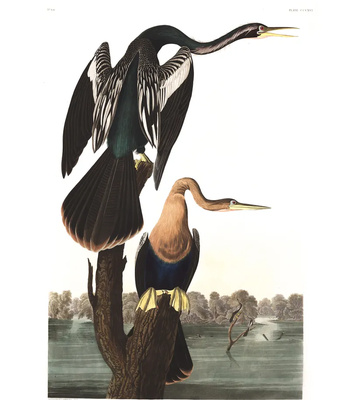 Agent Ada comic porn sex 87