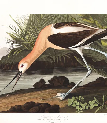 Agent Ada comic porn sex 89