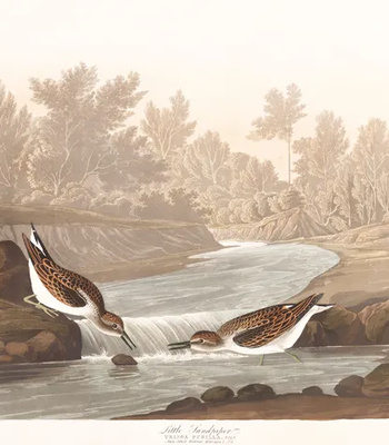 Agent Ada comic porn sex 91