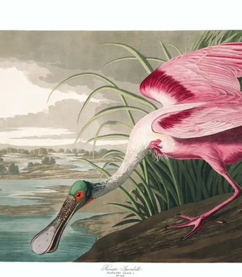 Agent Ada comic porn sex 92