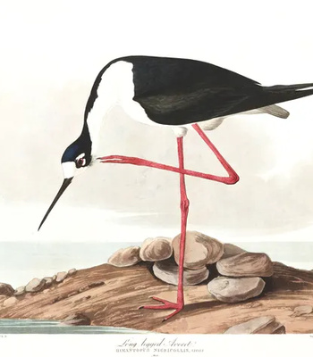 Agent Ada comic porn sex 99