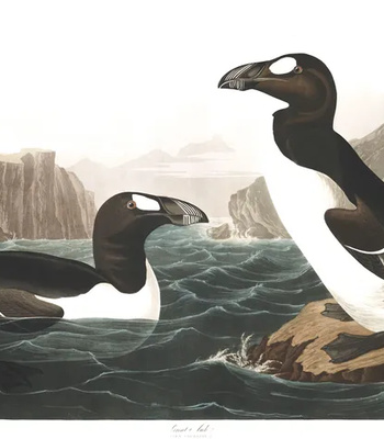 Agent Ada comic porn sex 112