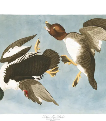 Agent Ada comic porn sex 113