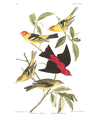 Agent Ada comic porn sex 125