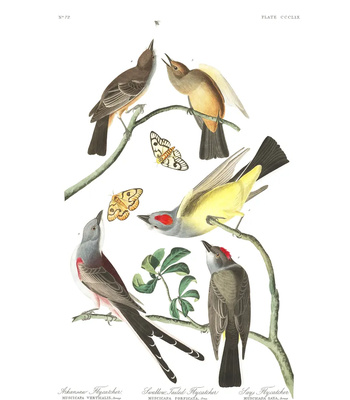 Agent Ada comic porn sex 130