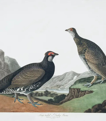 Agent Ada comic porn sex 131