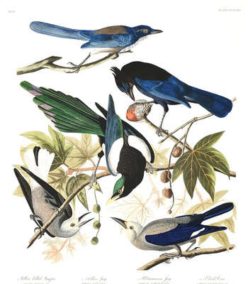 Agent Ada comic porn sex 132