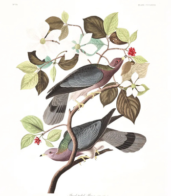 Agent Ada comic porn sex 137