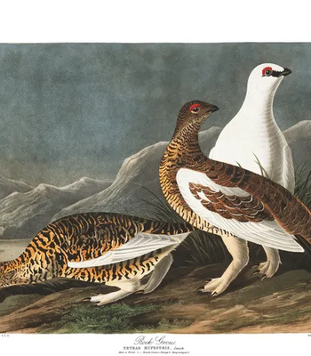 Agent Ada comic porn sex 138