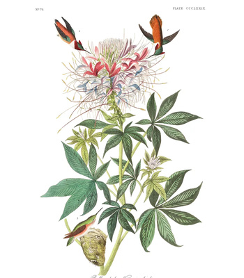 Agent Ada comic porn sex 149